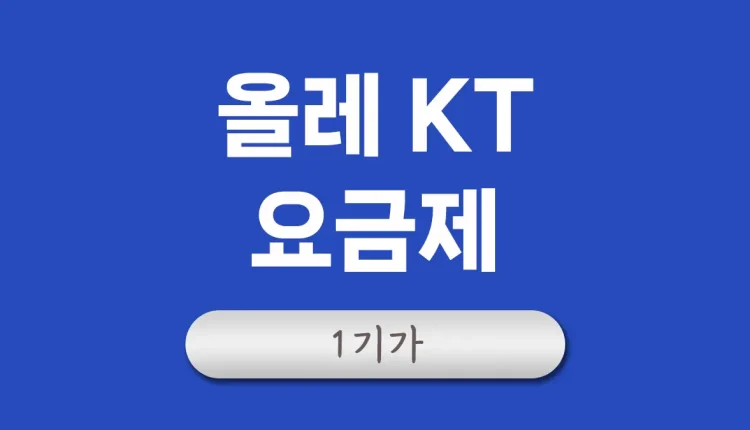 KT 인터넷 요금제